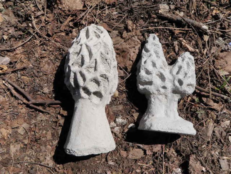 Realistic Cement Morel Mushroom Lot of 2 Garden Art Concrete | Etsy