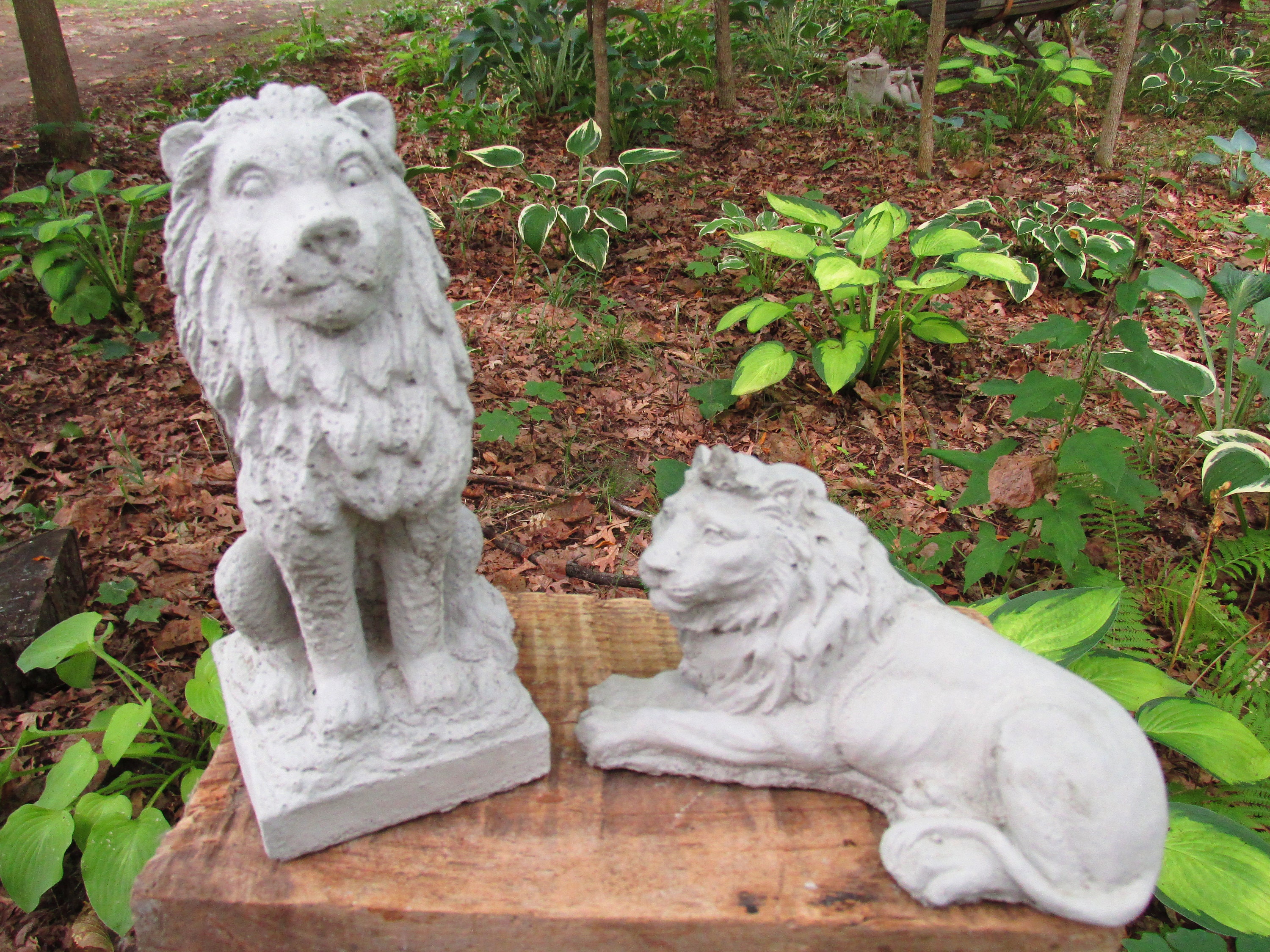 7 Cement Lion Pair Garden Art Concrete Statue Leo Feline Etsy