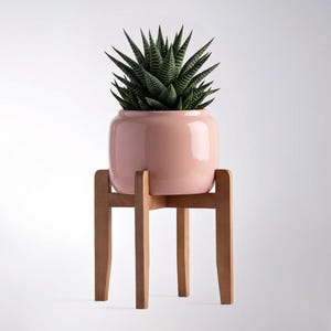 May include: A pink ceramic planter with a glossy finish, holding a spiky green succulent. The planter sits on a natural wood plant stand with a three-legged design. The plant stand is made of light-colored wood.