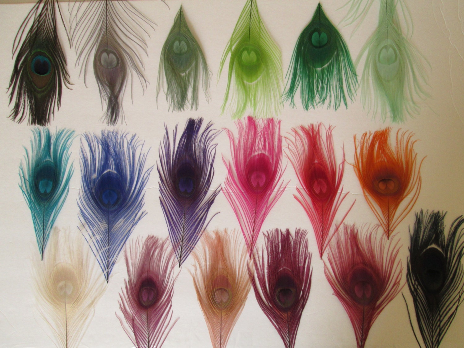 Download PEACOCK Feather Color Chart Build Your Own Wedding Garters ...