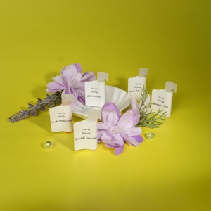 Spring Awakening Collection – Natural Fragrance Oils, Citrus, Floral & Herbal Scents, Roll-On Perfume Oils for Women, Perfect Gift for Her