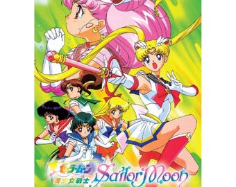Sailor Moon Complete Series + 7 Movies, English Subtitles (DVD)
