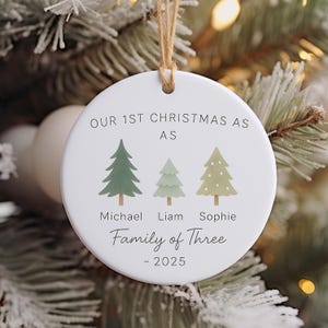 Our First Christmas As Family Of Three, Family Of Three Ornament, Family Of Three Christmas Ornament, Personalized First Christmas Ornaments