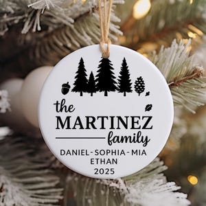 Family Christmas Ornaments Personalized, Custom Family Name Christmas Ornament, The Family Ornament, Family Christmas Ornament, Family Gift