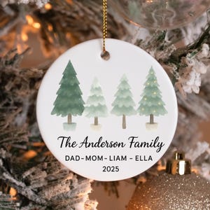 Family Christmas Ornaments Personalized, Custom Family Name Christmas Ornament, Family Of Four Christmas Ornaments 2025, The Family Ornament