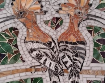A pair of Hoopoe Birds