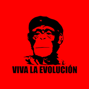 Puede incluir: Una ilustración en blanco y negro de un mono con una estrella roja sobre un fondo rojo. El texto "VIVA LA EVOLUCIÓN" está debajo del mono.