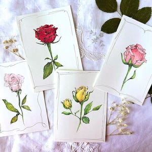 Biglietti d'auguri originali dipinti a mano  - set di 4 biglietti con buste