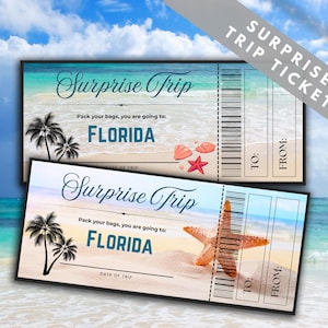 Biglietto di viaggio a sorpresa stampabile per la Florida, buono d'imbarco falso, buono d'imbarco per vacanze a sorpresa, buono di viaggio falso, download immediato