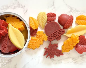Falling Leaves Autumn Wax Melts | Hand Poured, Fall Scented | Dried Apple Peel, Spice, Vermont Maple | Maple Leaf & Acorn Shaped Wax Tarts