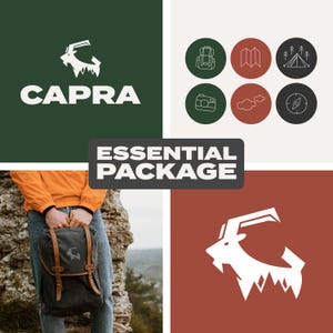 Custom Brand Kit: Brand Identity, Logo Kit, Instagram Kit