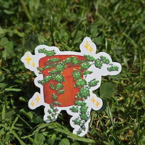 Adesivo succulento con una serie di tartarughe