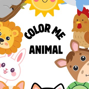 Colouring Animal Book