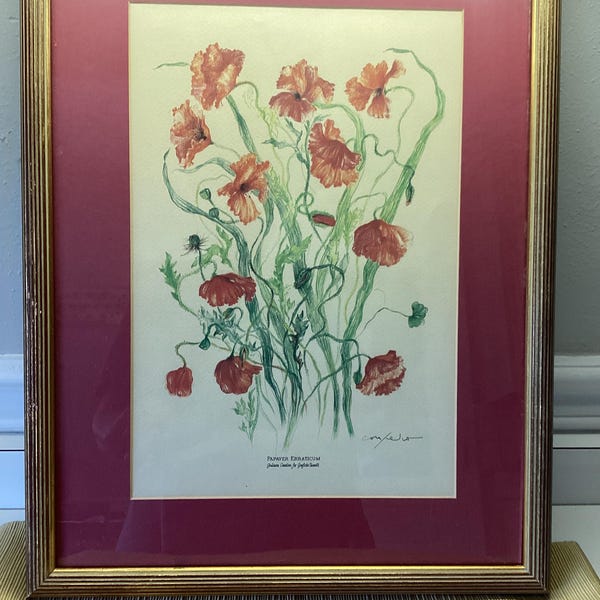 Red Poppy print by Giuliana Consiluio