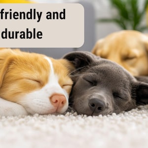 May include: Three sleeping puppies, a light brown and white, a gray, and a light yellow, rest peacefully on a white carpet. The image includes the text "Pet friendly and durable" in a white box.
