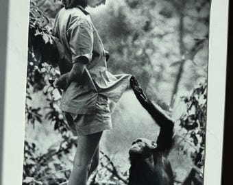 Scarce 1998 Original Apple Poster - Jane Goodall “think Different