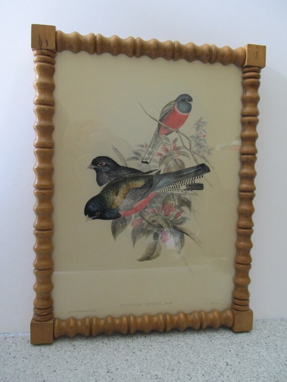 Two MCM VINTAGE John Gould Turned Spindle Framed Botanical Ornithology Bird Prints Wall Decor