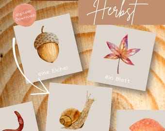 Caccia nella foresta d'autunno (10 carte da scoprire)