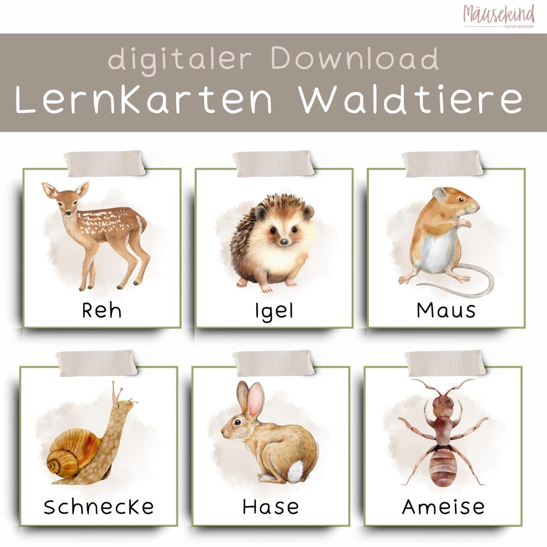 Lernkarten "Waldtiere" - Etsy Österreich