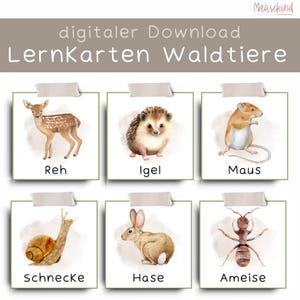 Lernkarten "Waldtiere"