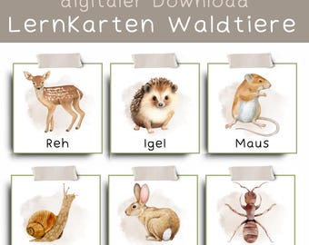 schede didattiche "Animali della foresta"