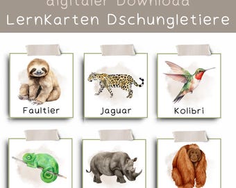 schede didattiche "Animali della giungla"