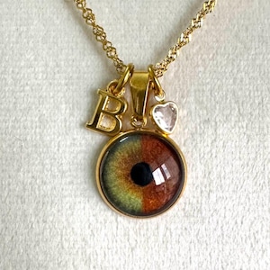 Custom Hand-painted Iris Necklace – Personalized Eye Jewelry – Pet Memorial Pendant – Gift for Her – Eye Art Keepsake