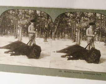 Vintage Stereoview Photo Buffalo Hunt