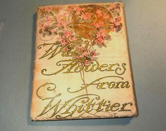 Wild Flowers by Whittier 1909