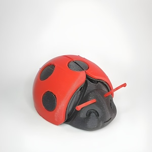 Può includere: Un giocattolo di coccinella stampato in 3D con ali rosse e macchie nere. La coccinella ha gambe e antenne nere.