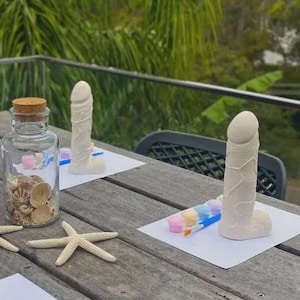 May include: A wooden table with three white phallic sculptures on white paper, paint pots, and a glass jar filled with seashells. Starfish are also on the table. The background shows a green landscape.