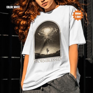 Stormlight Archive Shirt, Kaladin Stormblessed Shirt, Cosmere Shirt, Way Of Kings Graphic T-Shirt, Brandon Sanderson Fan Gift, Bookish Gift