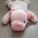 Vintage 1998 Ty Squealer the Pig Beanie Buddy