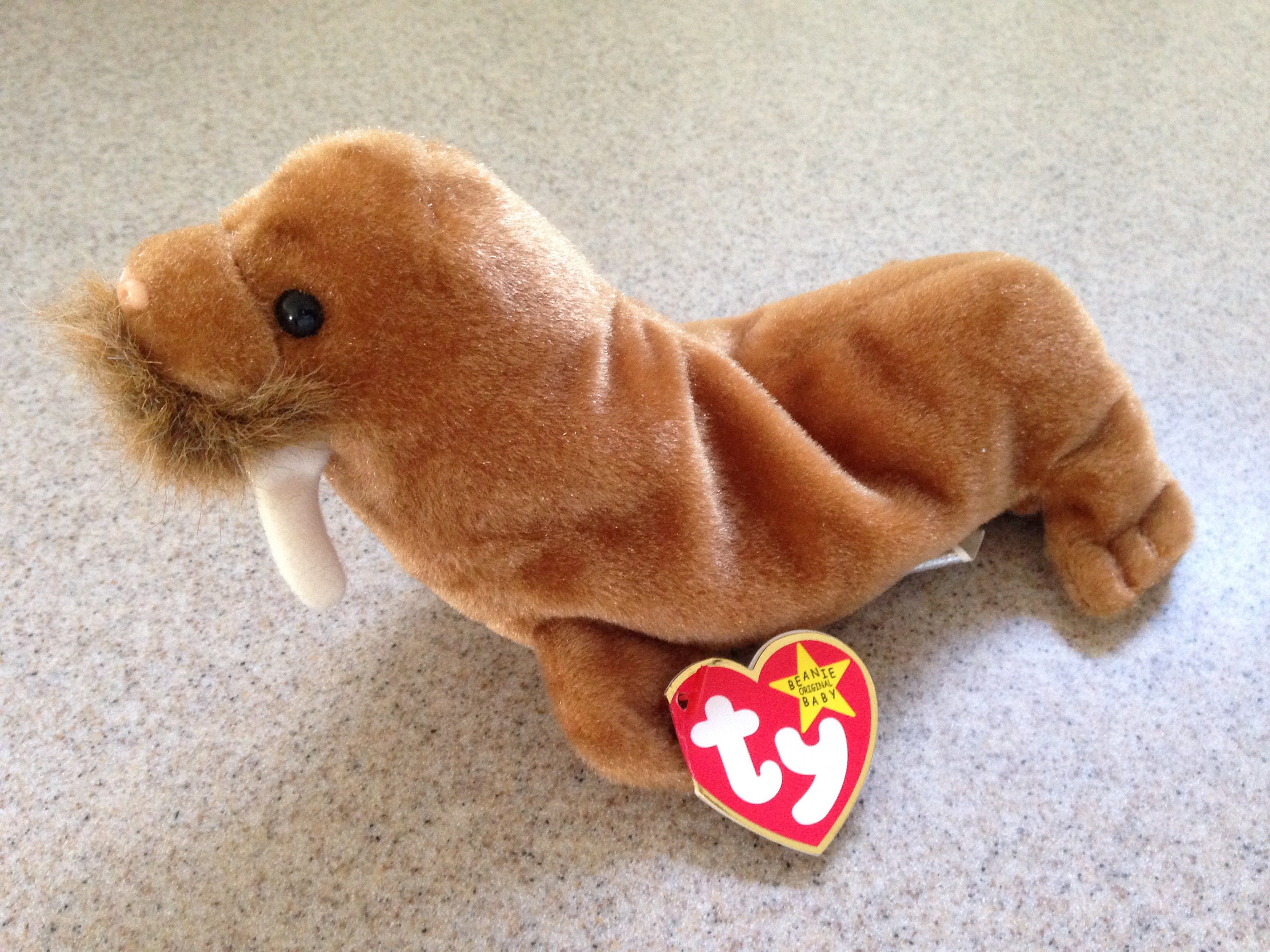 Ty Beanie Baby PAUL the Walrus RETIRED USA SELLER 