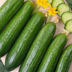 May include: Fresh green cucumbers, whole and sliced, arranged on a wooden surface. Yellow cucumber blossoms and green leaves are also present. The cucumbers have a ribbed texture and are a vibrant green color.