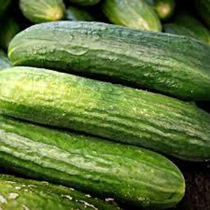 May include: Close-up of several fresh, green cucumbers. The cucumbers have a textured, ridged skin and are stacked together. The image highlights the vibrant green color and the natural details of the vegetables.