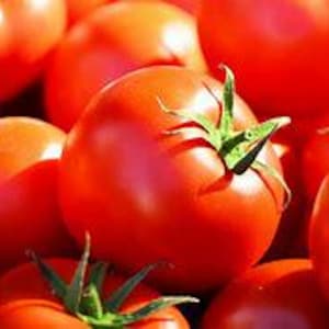 May include: A close-up of a group of red ripe tomatoes. The tomatoes are arranged in a pile, with the top tomato in focus. The tomato has a green stem and leaves.