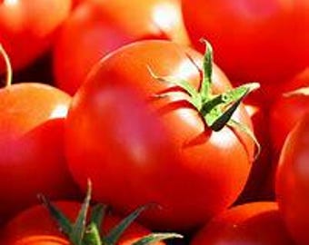 Celebrity Plus Tomato Seeds