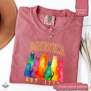 onafhankelijkheidsdag kattenshirt, patriottische kat, 4 juli kat, kattenliefhebber cadeau, 4 juli, Amerika shirt, Memorial Day shirt, VS shirt