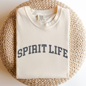 Fruits of the Spirit Comfort Colors® Shirt, Christian Shirts Gifts for Women, Botanical Shirt, Fruit Shirts, Christian Apparel, Trendy Shirt