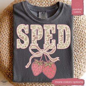 Comfort Colors Special Education Teacher Shirt: Neurodiversity BCBA Gift