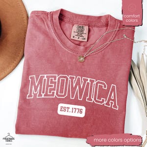 onafhankelijkheidsdag kattenshirt, patriottische kat, 4 juli kat, kattenliefhebber cadeau, 4 juli, Amerika shirt, Memorial Day shirt, VS shirt