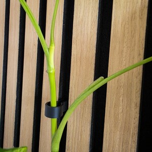 May include: A green plant with a black plastic clip holding it to a wooden wall with black vertical strips.