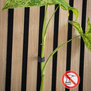 Plant clips for acoustic panels – 3D printed, tool-free installation, for easy wall greening image 1