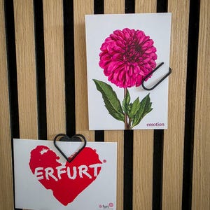 Könnte beinhalten: Zwei Postkarten werden an einer Holzwand mit schwarzen vertikalen Streifen befestigt. Die obere Postkarte zeigt eine rosa Blume mit grünen Blättern und das Wort "emotion". Die untere Postkarte hat ein rotes Herz mit dem Wort "ERFURT" darin und das Wort "Erfurt" unten.