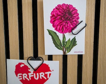 WALLCLIP – Photo clip for acoustic panels in the shape of a paperclip or heart – no drilling required