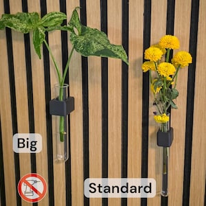 CUBE MICRO reageerbuishouder voor akoestische panelen - voor vermeerdering, stekken of droogbloemen - geen boren nodig