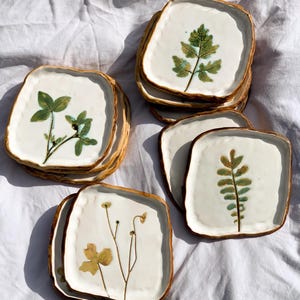 May include: A collection of square ceramic plates with a white surface, each adorned with a pressed botanical design. The plates have a textured, brown rim and a grey border. The botanical designs include ferns and other plants.