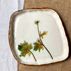 May include: A square ceramic plate with a white glazed surface. The plate features a pressed botanical design with green and brown leaves and stems. The rim is a contrasting brown colour.