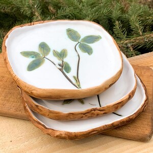 May include: Three white ceramic plates with a brown, textured rim, stacked on a wooden surface. Each plate has a green and brown botanical design. Evergreen branches are visible in the background.